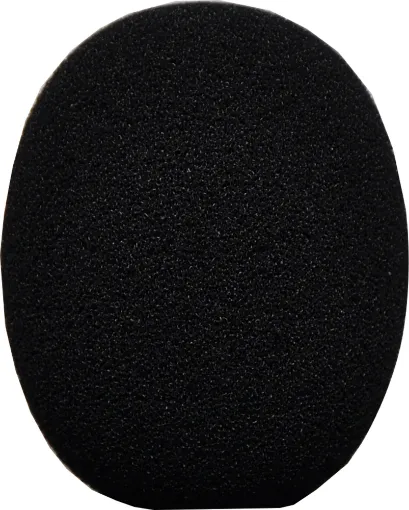 Used to negate breath noise and eliminate wind or breath “pop”.
