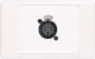 3pin XLR microphone connector mounted horizontally on a dual face wall plate. &quotOne-Shot&quot version with screw terminal connections for quick and easy connection on site.