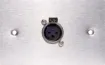 3 pin XLR microphone connector mounted horizontally on a brushed stainless steel wall plate. “One-Shot” version with screw terminal connections for quick and easy connection on site. 