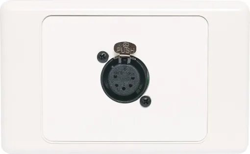 5pin XLR microphone connector mounted horizontally on a dual face wall plate. &quotOne-Shot&quot versions with screw terminal connections for quick and easy connection on site.