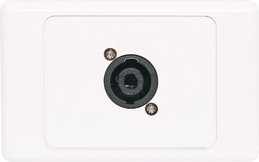 4 pin Neutrik Speakon connector mounted horizontally on a dual face wall plate. 