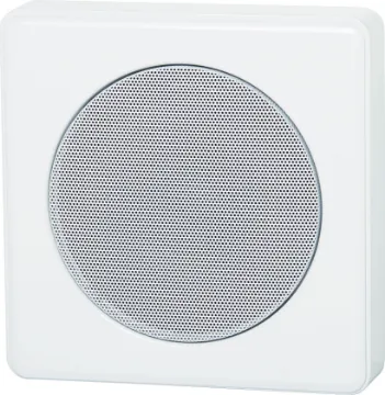 130mm 6W 100V Vandal Resistant Surface Mount Ceiling Speaker This cabinet is designed to withstand the physical abuse of vandals. Access to the 130mm dual cone speaker requires the use of an allen key, minimising unauthorised tampering and/or theft. Features multiple conduit entries. Suitable for use in prisons, tr