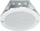130mm 10W 100V Vandal Resistant Ceiling Speaker Designed to withstand the physical abuse of vandals. Access to the 130mm +twin cone speaker requires the use of a security torx tool, minimising unauthorised tampering and/or theft.