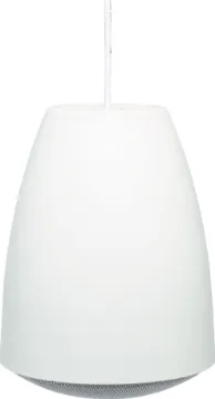 30W 100V Line Pendant Ceiling Speaker Designed for use where traditional ceiling mounted speakers are difficult or impractical to install. Used in such areas as very high raked, suspended, concrete, or exposed ceilings.