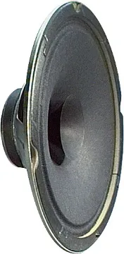 200mm (8") 8 Ohm 10W Dual Cone PA Speaker Designed primarily for PA and background music applications. Magnet includes transformer mounting holes at 51mm. 
Diagonal mounting hole centres at 195mm.