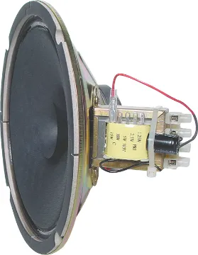200mm (8") 15W 100V High Output Twin Cone EWIS PA Driver Speaker With concave cone suspension enabling use with flush ceiling type grills. Dual cone. High midrange efficiency especially suited to vocal PA and sound column use. Supplied with a 15W 100V transformer.