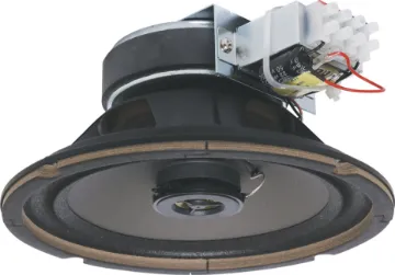 200mm (8") 15W 100V Coaxial 2 Way EWIS PA Driver Speaker For applications where high power, high performance sound reproduction is required, ie. bars, boutiques, clubs etc. Supplied with a 15W 100V transformer.