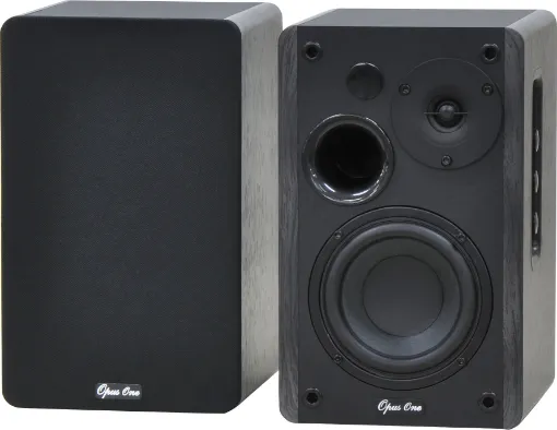 The speakers are equipped with digital signal processing (DSP) and dynamic range control (DRC) to prevent distortion.
