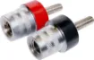 A pair of M6 SAE battery posts marked as positive and negative. Suitable for batteries fitted with an M6 recessed bolt terminal. Manufactured using high quality materials for a reliable connection. 

