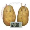 Educational project kit for constructing a clock powered from a potato