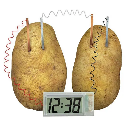 Educational project kit for constructing a clock powered from a potato