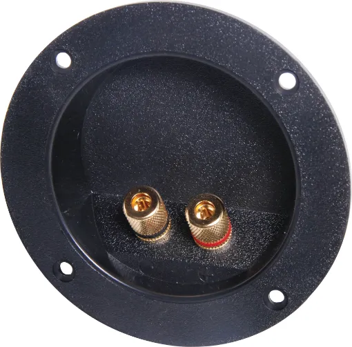 Recessed Terminals.  Gold plated screw cap posts will accept banana plugs or stripped wire.
