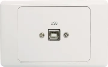 USB Type B Wallplate with USB A Plug Flylead USB Type B wallplate Rear is fitted with 150mm fly lead and USB Type A plug for easy connection.