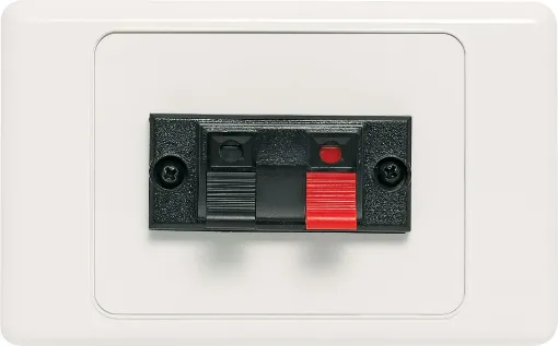 Single spring terminal for speaker connection. Supplied with dual covers