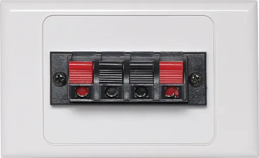 Dual spring terminal for speaker connection.