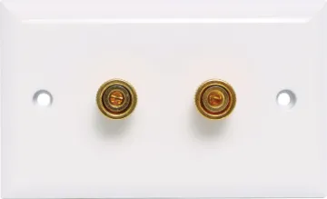 2 x Binding Post Economy Speaker Wallplate Plastic wallplate fitted with gold plated binding posts for speaker connect points.