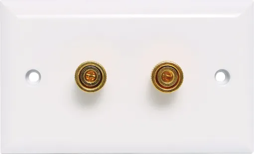 Plastic wallplate fitted with gold plated binding posts for speaker connect points.