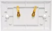 Plastic wallplate fitted with gold plated binding posts for speaker connect points.
