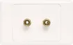 Wall plate with high quality gold plated binding posts.
Accepts either banana plugs or bare wire. 
Supplied with dual covers