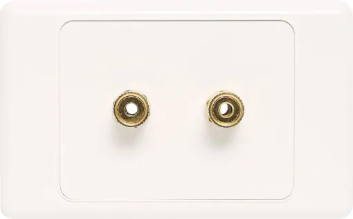 Wall plate with high quality gold plated binding posts.
Accepts either banana plugs or bare wire. 
Supplied with dual covers