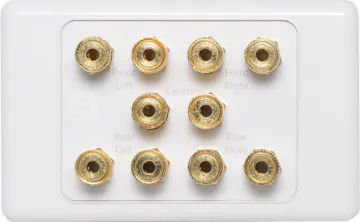 10 x Binding Post Wallplate Fitted with back to back connectors for easy hookup.  Two snap-on covers are provided, allowing you to choose a style that suits your installation.