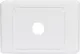 1 Way Clipsal Clip-In Wallplate Suitable for use with Clipsal mechanism inserts.