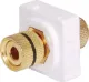 Black Binding Post / Banana Clipsal Clip-In Mechanism Double sided pluggable design for connection with pre-made leads.
Suits clipsal wallplates. Black.