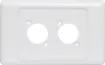 Dual wallplate to suit any standard dimension SpeakOn sockets. Countersunk screw holes. Mounting hole spacing 19W x 24Hmm.