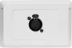 3pin XLR microphone connector mounted horizontally on a Clipsal pro wall plate. &quotOne-Shot&quot version with screw terminal connections for quick and easy connection on site.