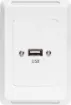 USB type A connections fitted to a Clipsal Pro Series wall plate which has been specifically designed for commercial building installations. Rear is fitted with 150mm fly lead with a USB type A socket for easy connection.