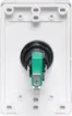Standard dual cover wallplate fitted with an S0921 green LED illuminated momentary pushbutton switch. 