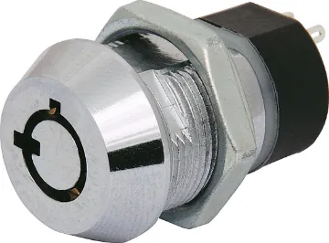 2 Position DPST Tubular Keyswitch 10001 Key Standard. DPST. Radial type  tumbler mechanism. Silver plated contacts and terminals. Rated at 2A @ 250V AC.  Key removable in both positions. Supplied with two 10001 keys. Four terminals.   Overall depth with key inserted 69mm, including terminals.