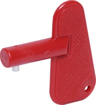 Spare key To Suit S2690 Replacement key to suit S2690 key switch.