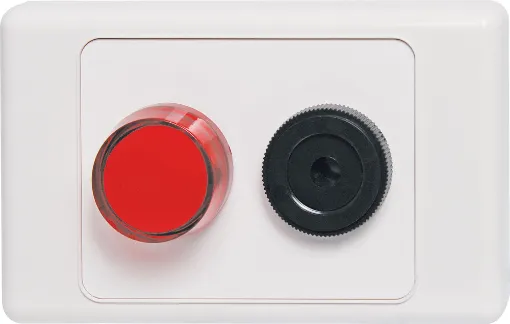 A dual cover wallplate fitted with an S 6114 90dB pulsating siren and an S 4030 24V DC red indicator lamp. Designed to provide a visual and audible alert when 24V DC&#8200power is applied (such as from A 4471 power fail monitor). 
