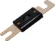 150A ANL Type 32V Plastic Fuse High quality fuses with gold plated end caps and gold plated fuse links.