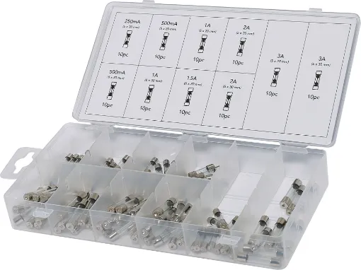 This glass auto fuse pack comes housed in a plastic parts case and includes 100 pieces of popular sizes of fuses. 